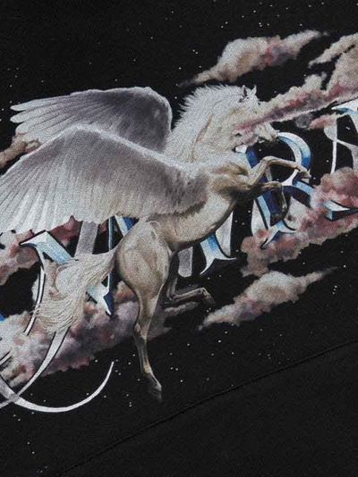 Amiri Pegasus Script Logo Hoodie in Zwart