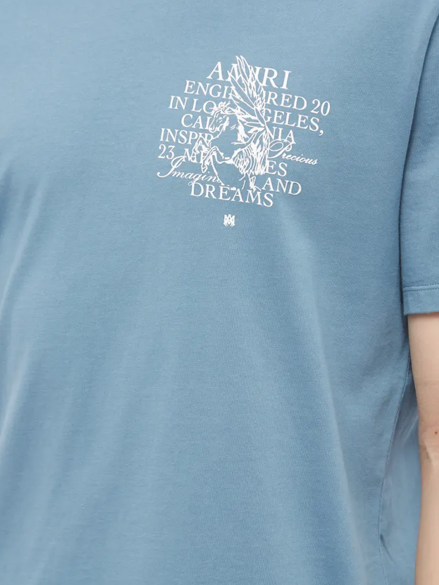 Amiri Precious Moments bedrukt T-shirt in Bluefin